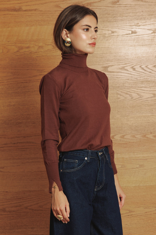 Turtle Neck in Brown