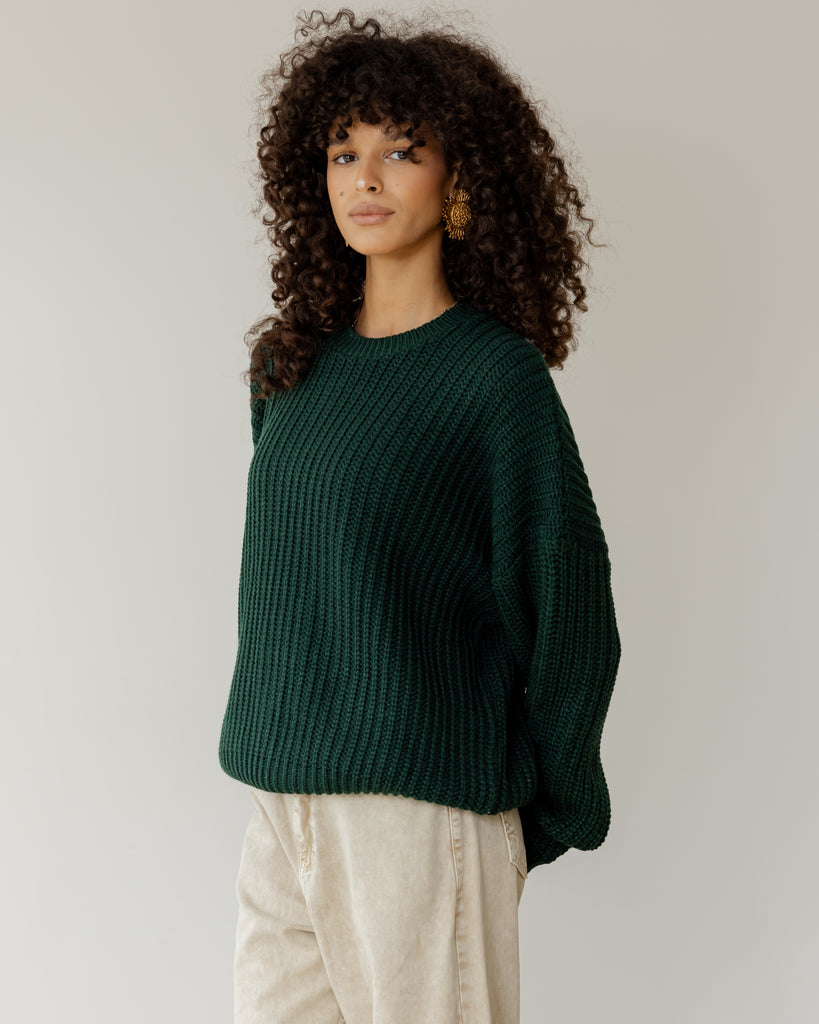 Knit Sweater in Green