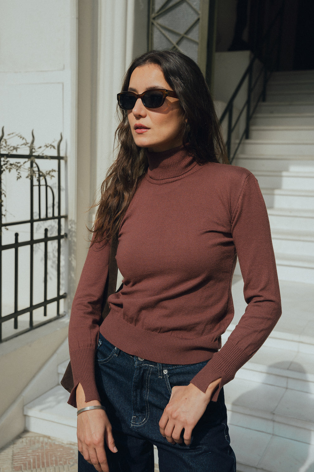 Turtle Neck in Brown